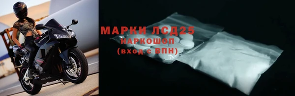 стаф Абинск