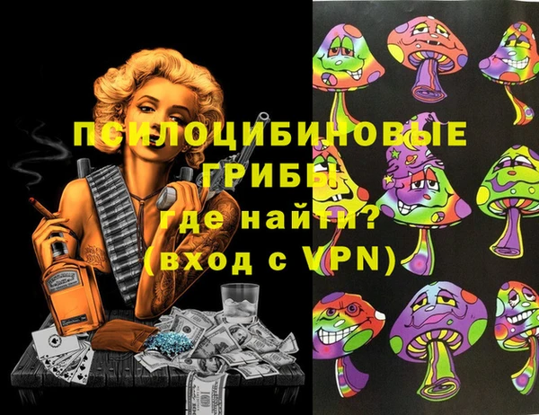 a pvp Абаза