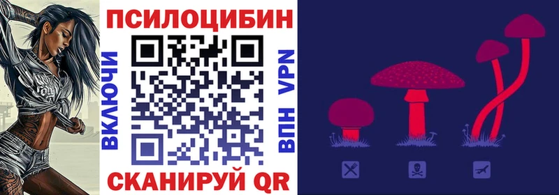 дарнет шоп  Нариманов  Галлюциногенные грибы мицелий 